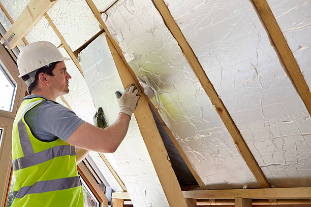 Best Insulation Maintenance and Repair in Citronelle, AL